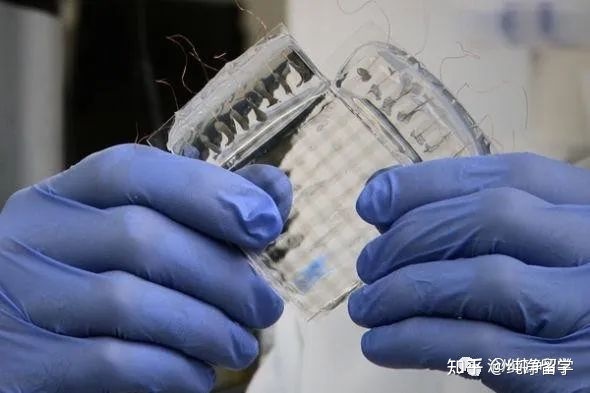 海歸就業9個最優先修專業分類解析 經管類、理科與工科類精選實例——以計算機軟件技術開發為引申